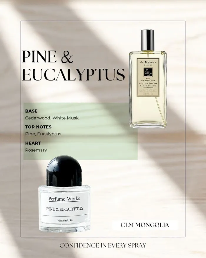 Perfume Works Jo Malone Pine & Eucalyptus /Үнэртэй ус/ - 1